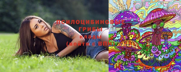 Альфа ПВП Надым