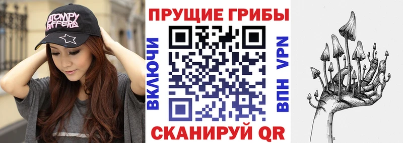купить   Рассказово  Галлюциногенные грибы Psilocybine cubensis 
